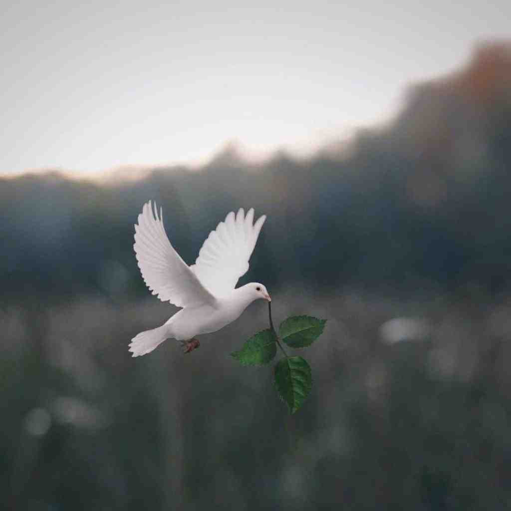  یه روز‌ یه قاصدک تو هوا میزد پرسه