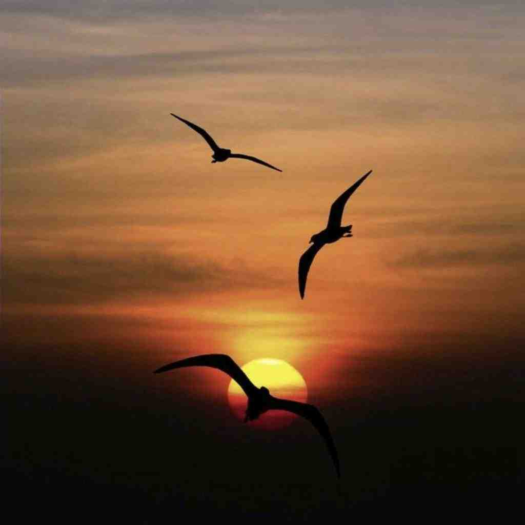  بدم اومد از همه از اون ک بهم دروغ میگه