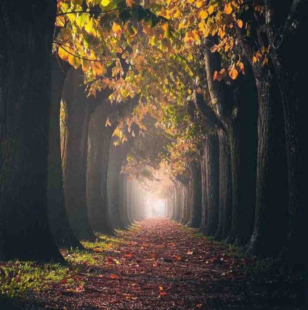 دوباره تو سرمه سمت تو بیام با صدای دختر