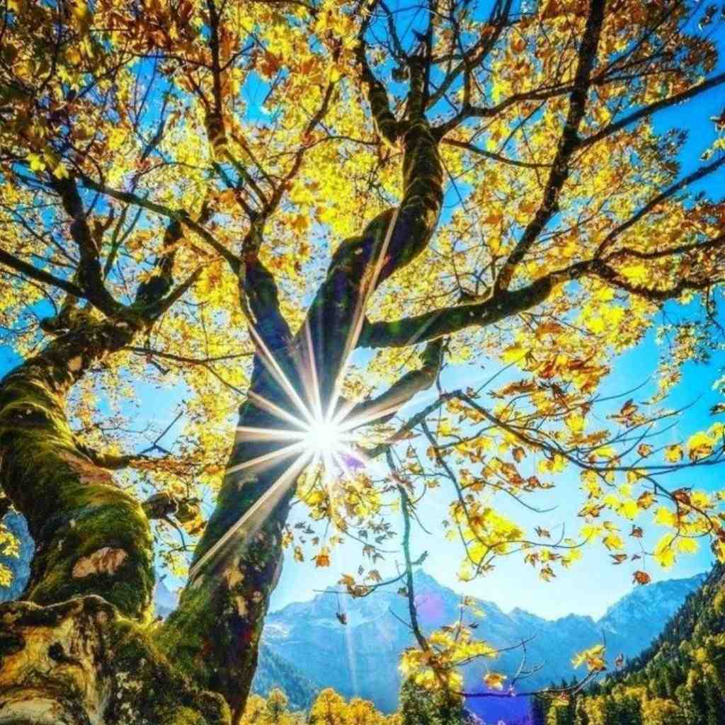  من عاشق صدای بارونم من خوبه حالم هوش مصنوعی