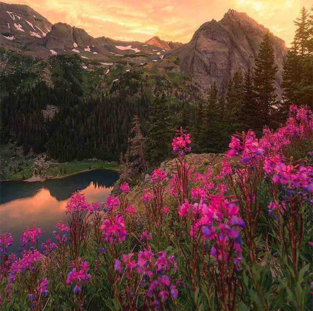  خوشگلمو هزار خاطر خواه دارم با صدای بچه 