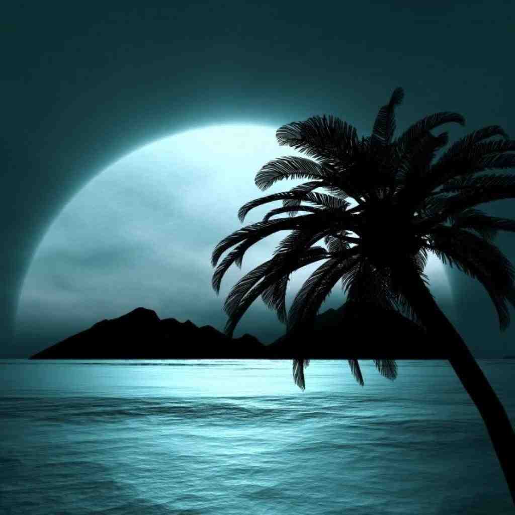  دلم واسه صدات در گوشم صبحا تنگه بدجور