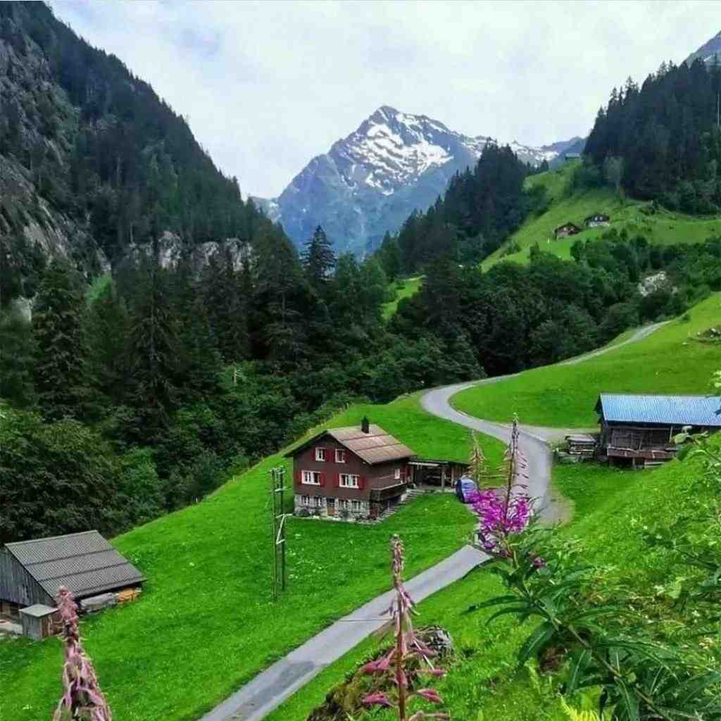  ای دلبرم قدت بلنده چشات سیاهو با صدای زن
