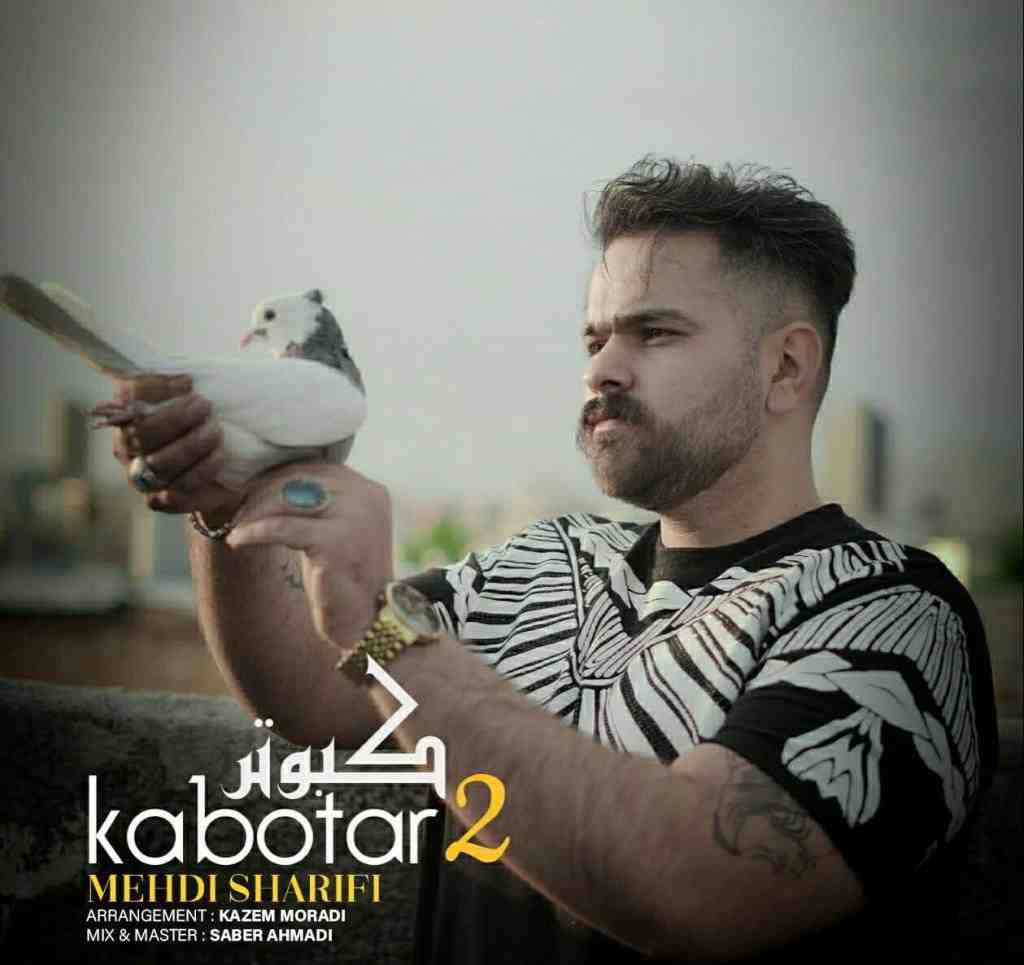 مهدی شریفی کبوتر 2
