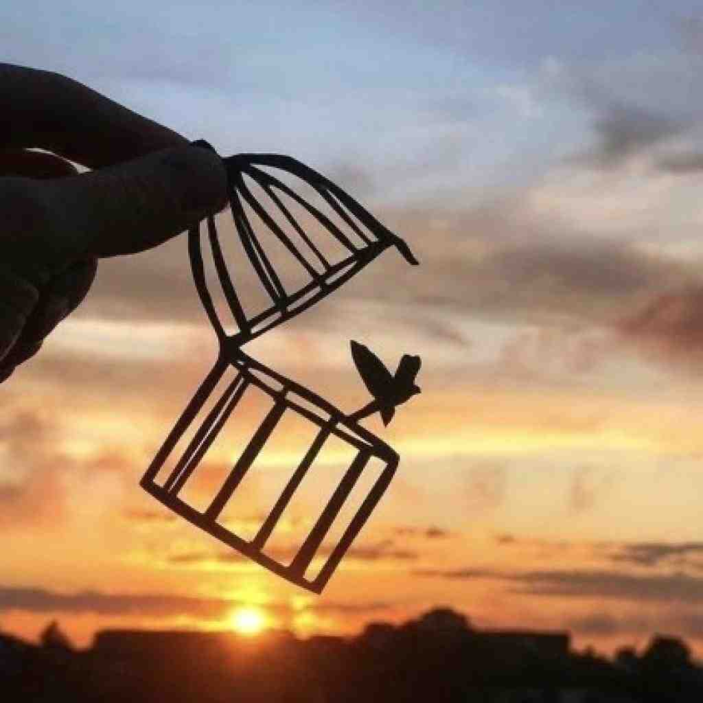  اورجیناله حاجیت فیک نی ۲۰۰۹ کمربند فندی