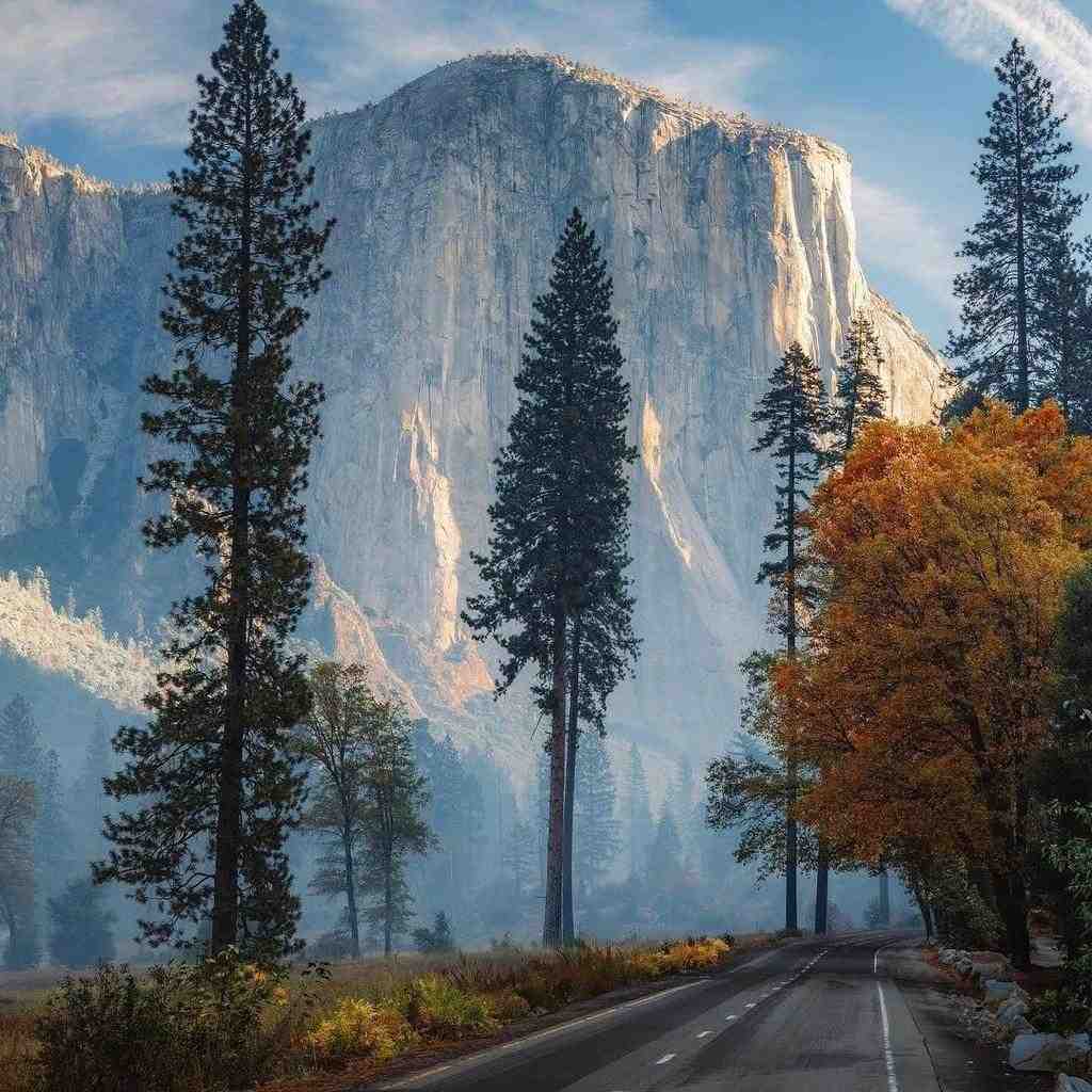  بلدی قد دهنتو یا نه دستشونو بگیریم اگه ادبشو دارن