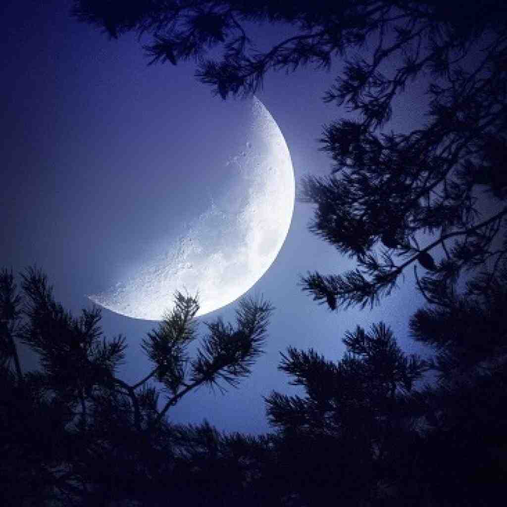  با صدای بی صدا مثل یه کوه بلند مثل یه خواب کوتاه