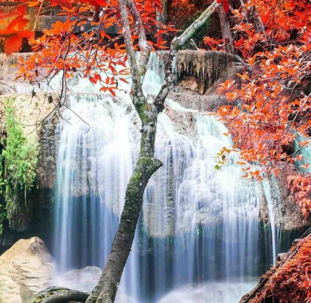  این آهنگ واسه تویه هول بدبخته
