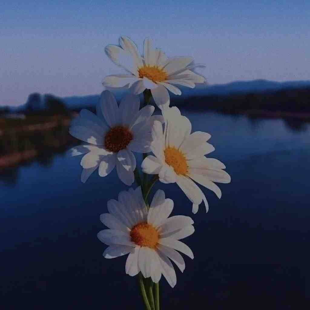  روزا گذشت و عقربه چرخید فصلا عوض شد
