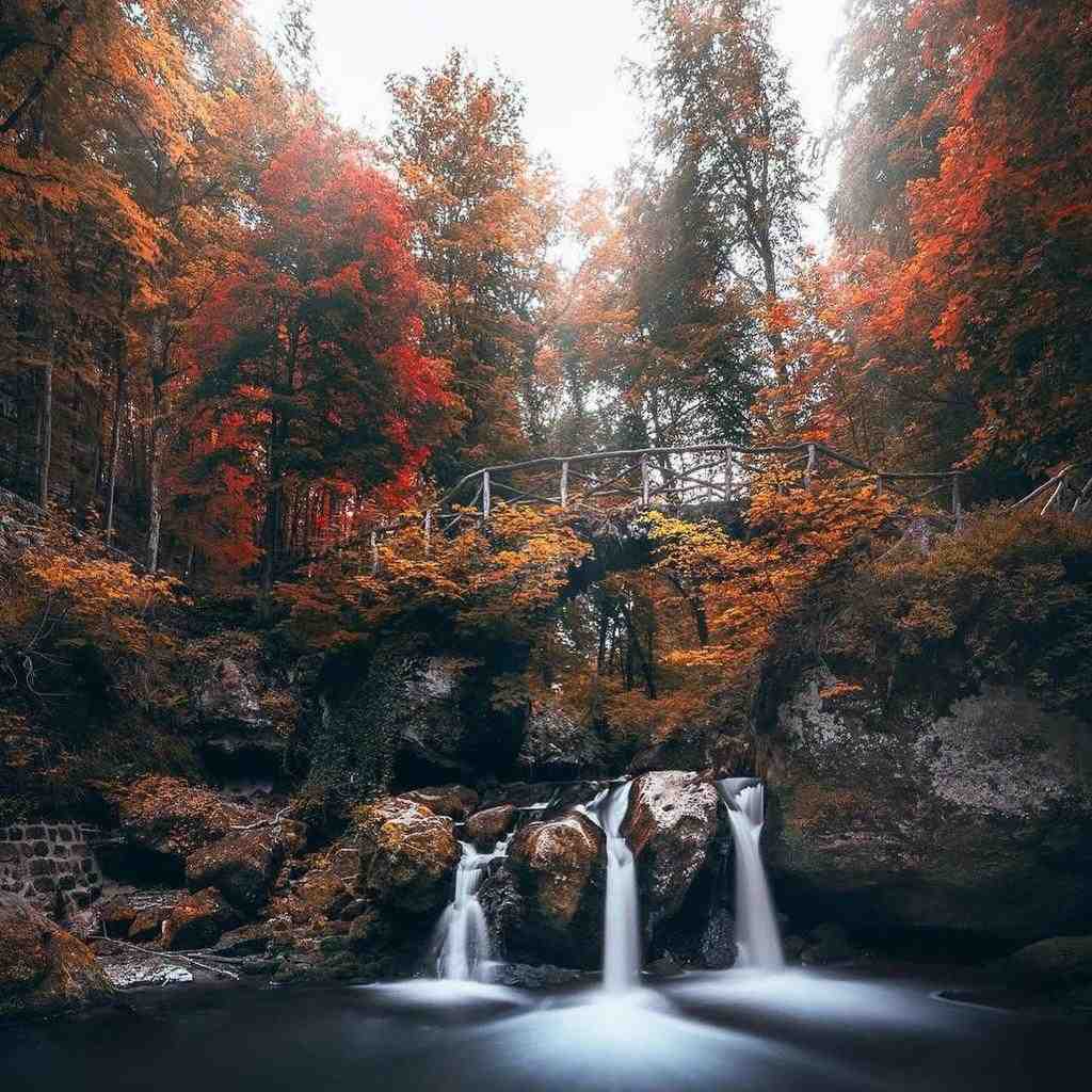  چه ساده دل منو بردی با یه نگاهت با صدای بچه
