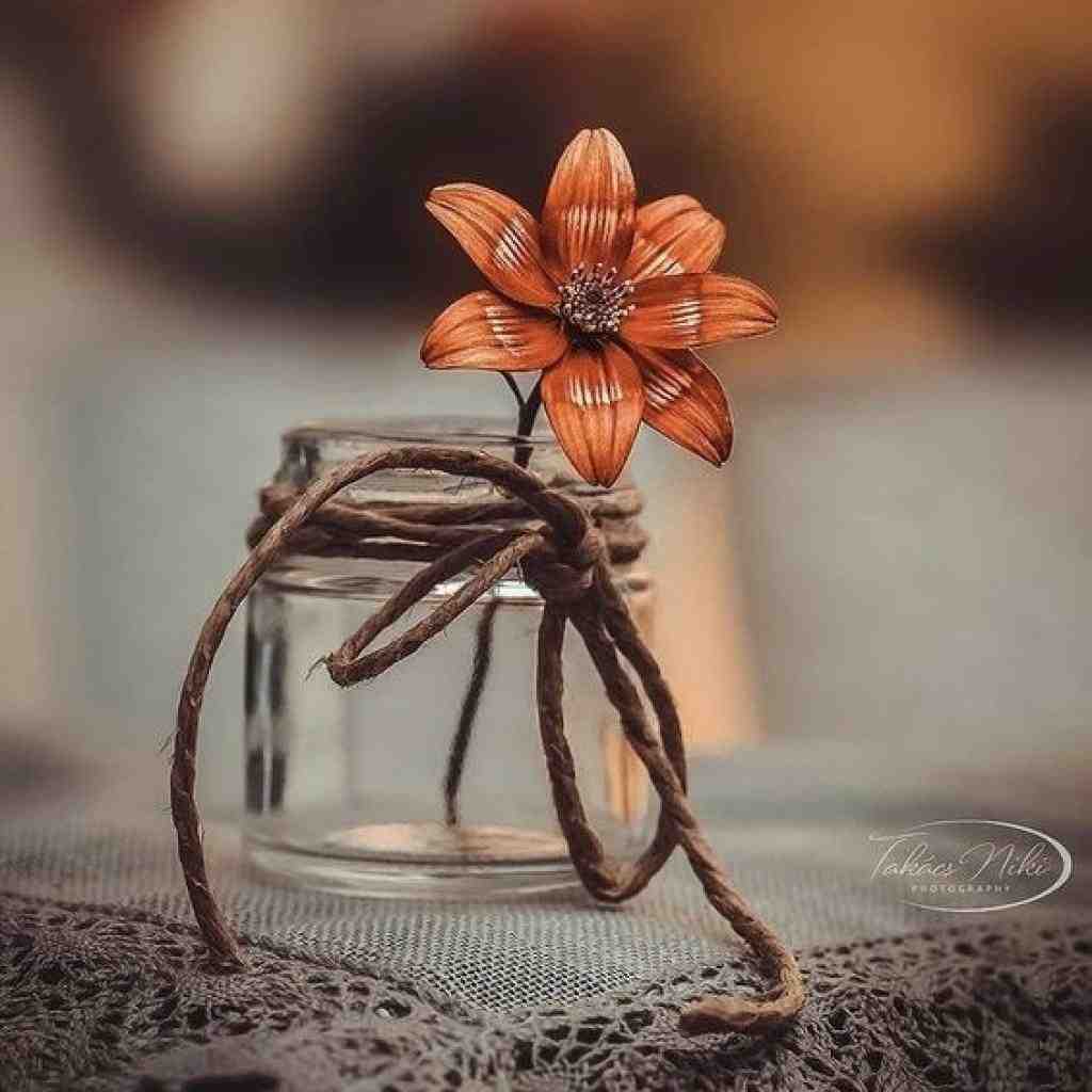  بغلم کنار آب خوابیدی میاد فقط صدای باد