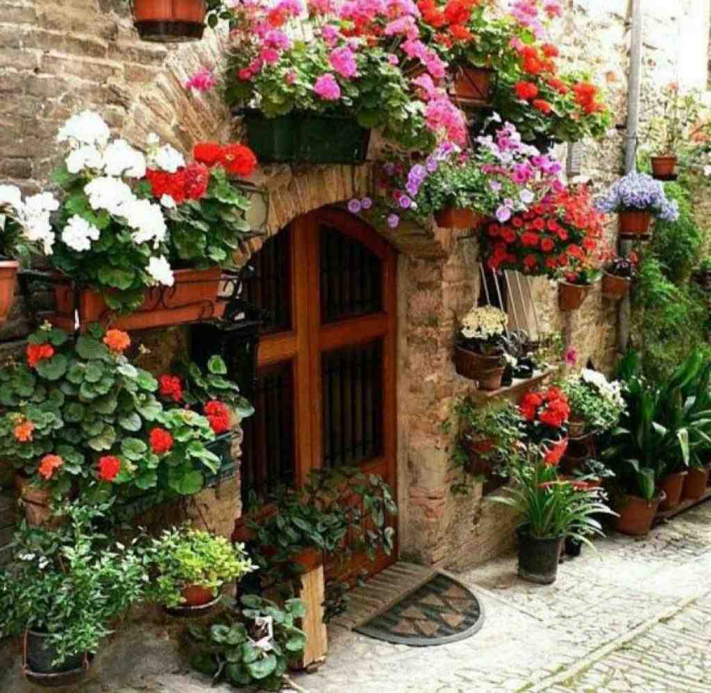  قرار بود باشیم تا تهش دوتایی