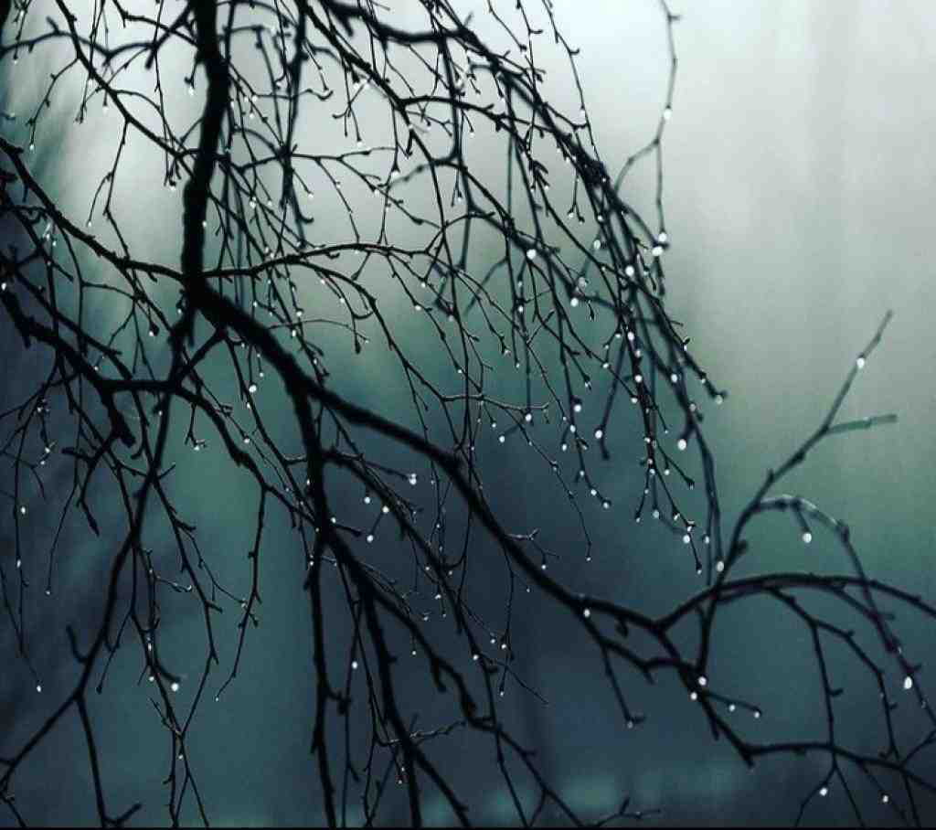  چطور اومده دلت من بی تو قلبم مرده برس