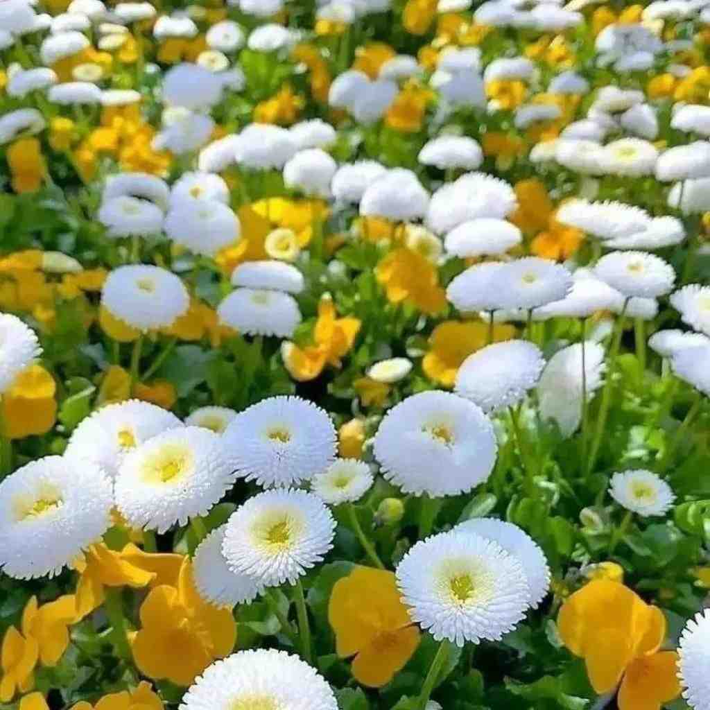  مشکلم بخت بد و تلخی ایام نیست ورژن اینستایی