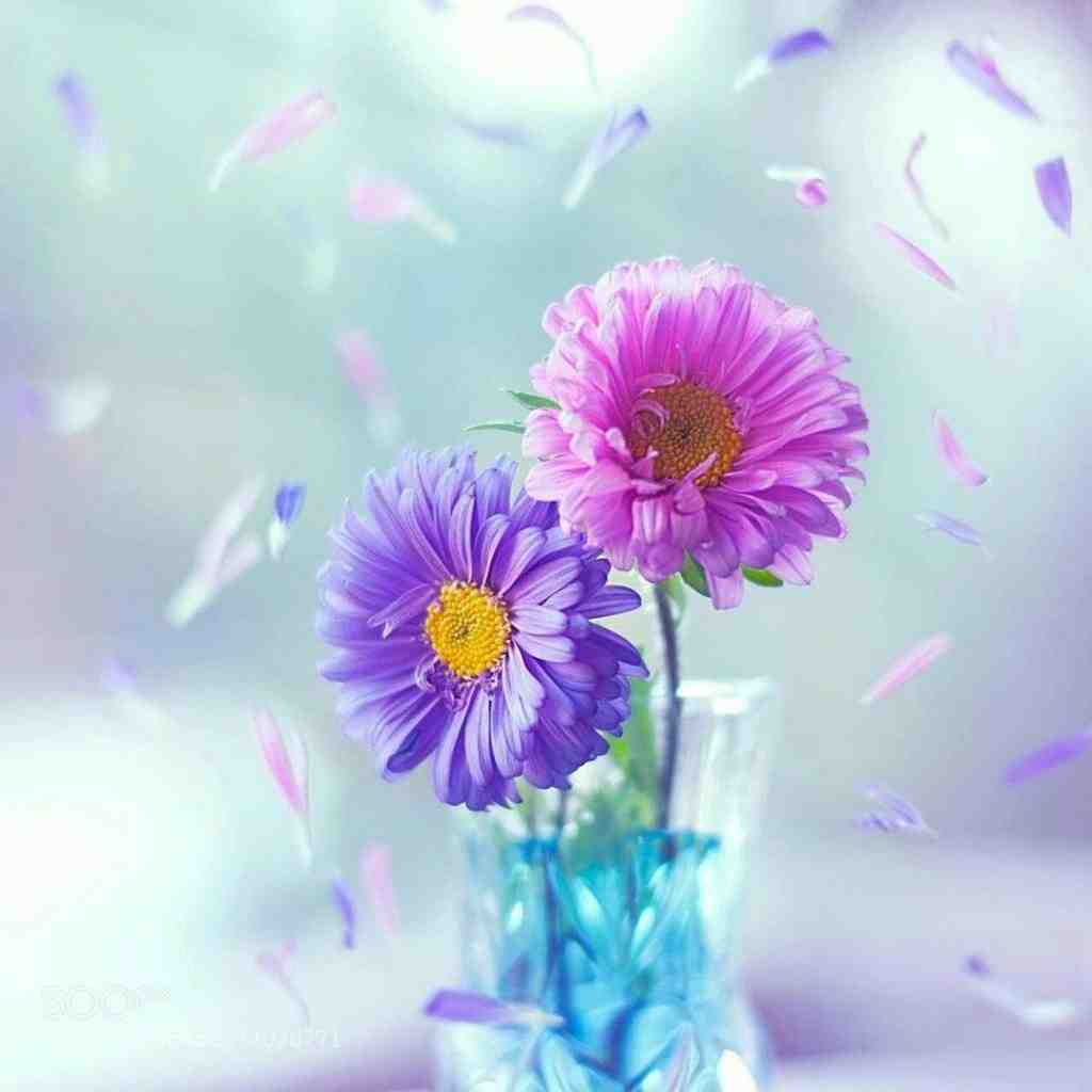  هیچ خبری بد نی وقتی یه باتل پر جلومه