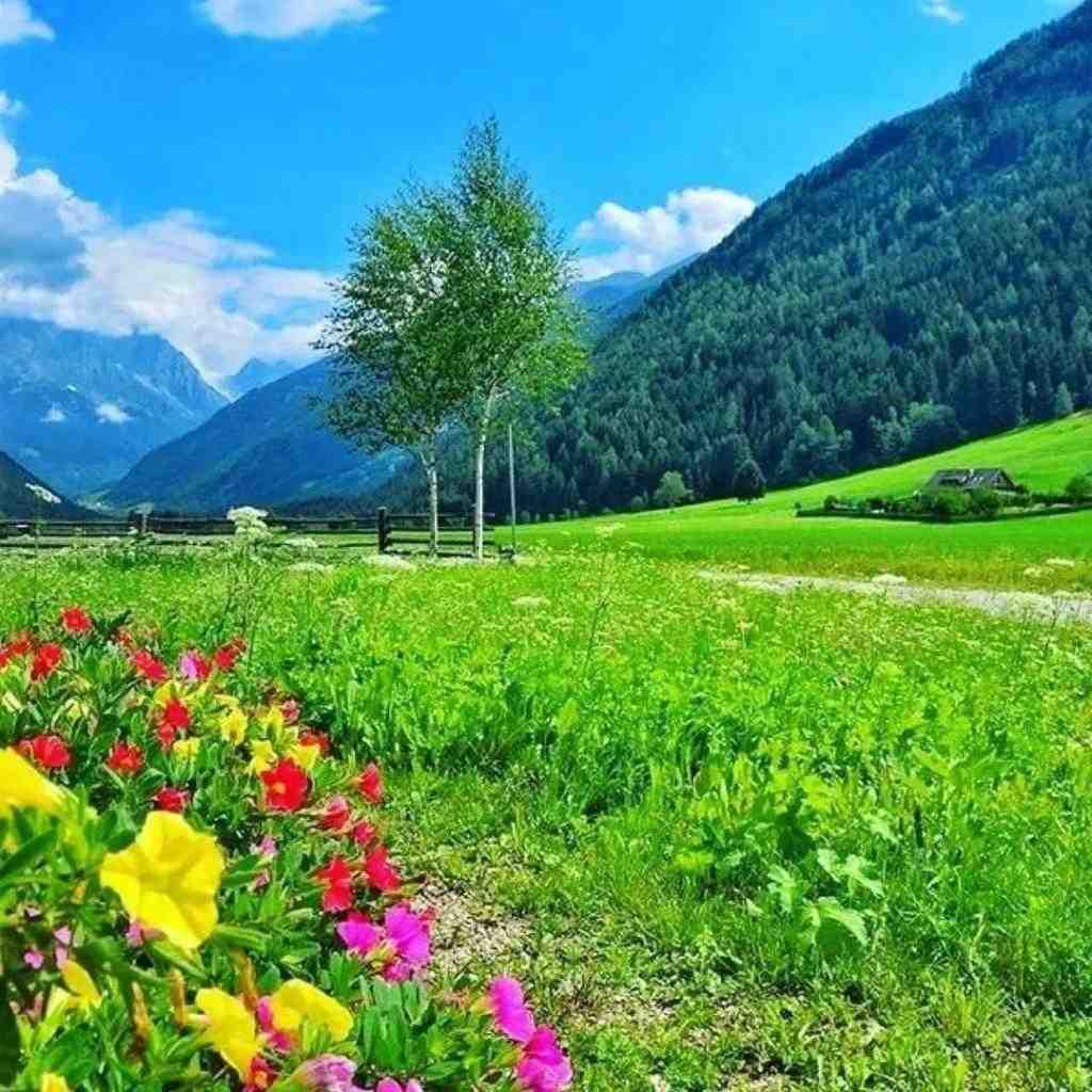  شد شد نشد میریم میزنیم ما بانکو