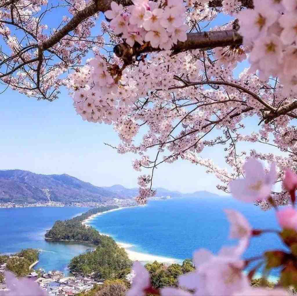  واویلا لیلی کتاب داریم خیلی با صدای بچه