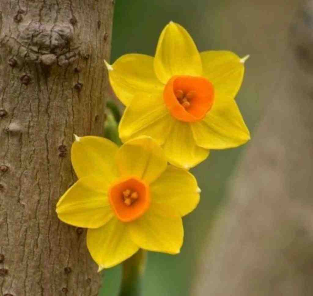  انرژی دیگه نیست تو حالت عکسمون دیگه نیست