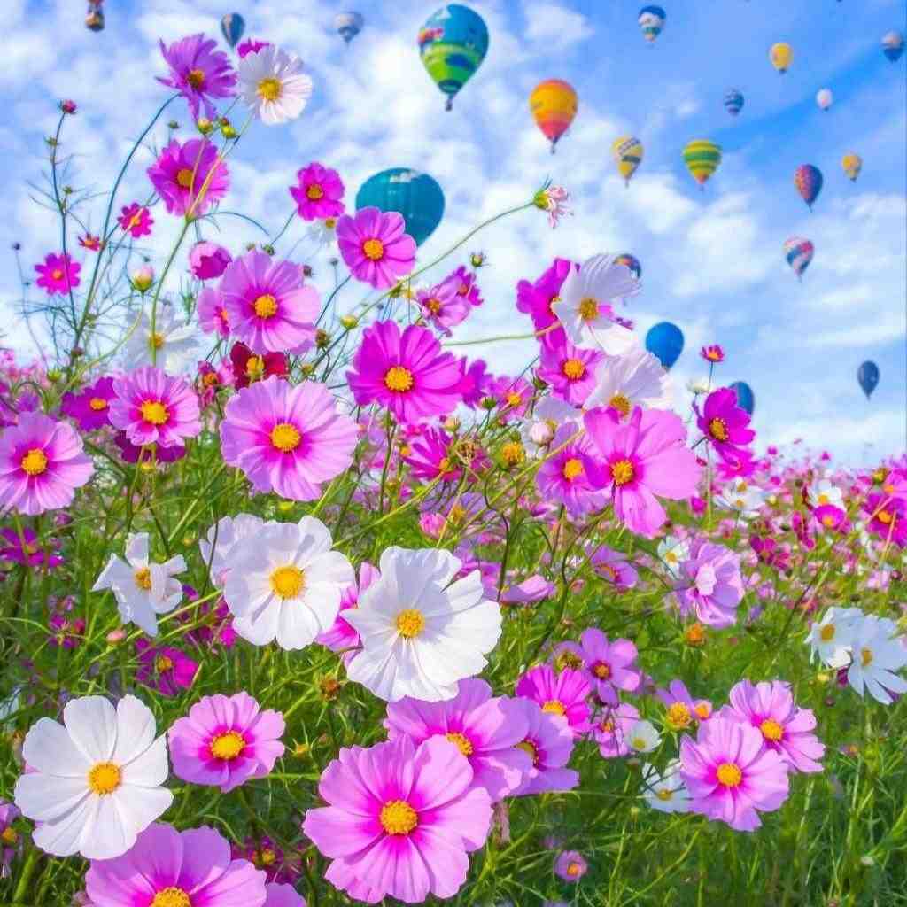  جهان کوچیک و فانیه ننه دستات زندانیه ننه
