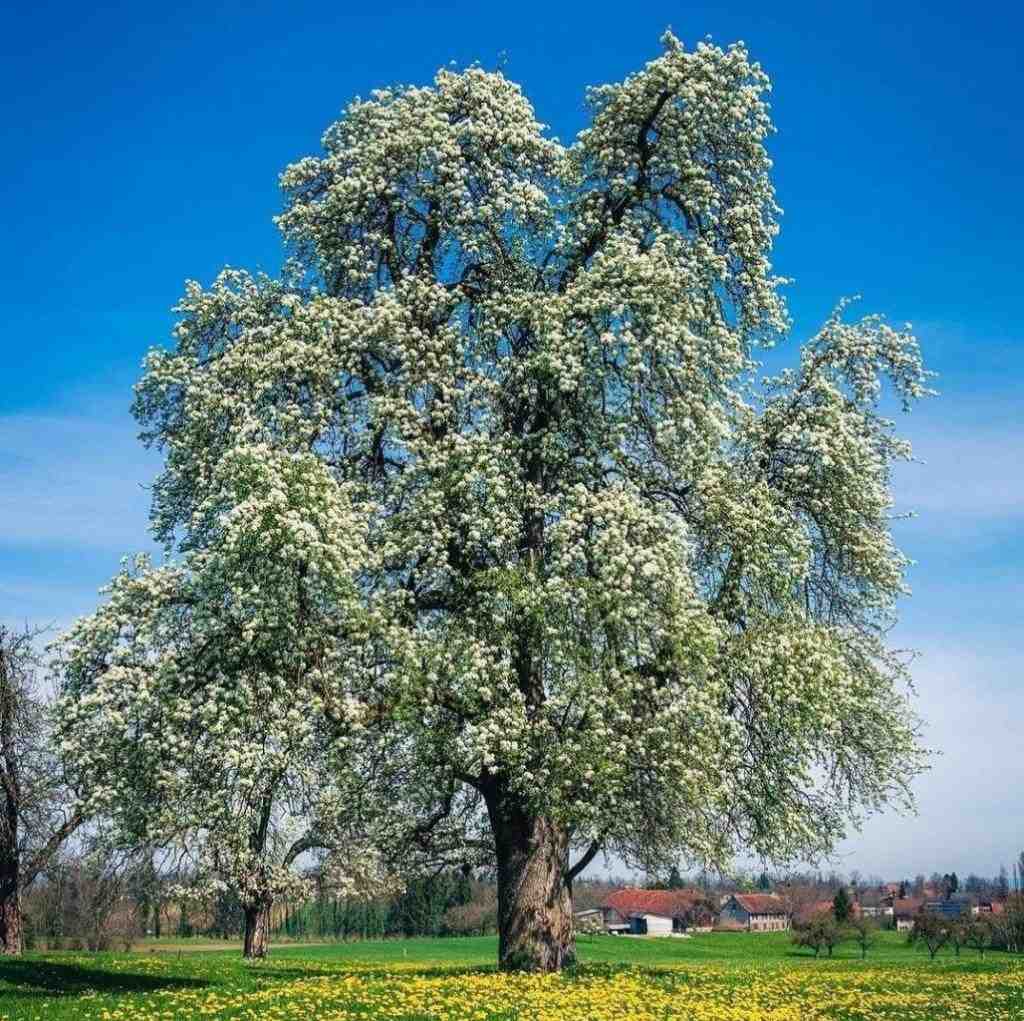 نیستی شده غمه روتین دم اسمت قلب رو گوشیم