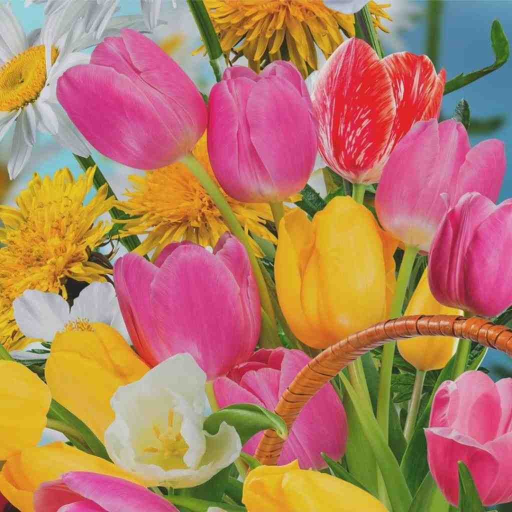  دلی که رو هوا زدی دادی دست باد ببره با صدای زن