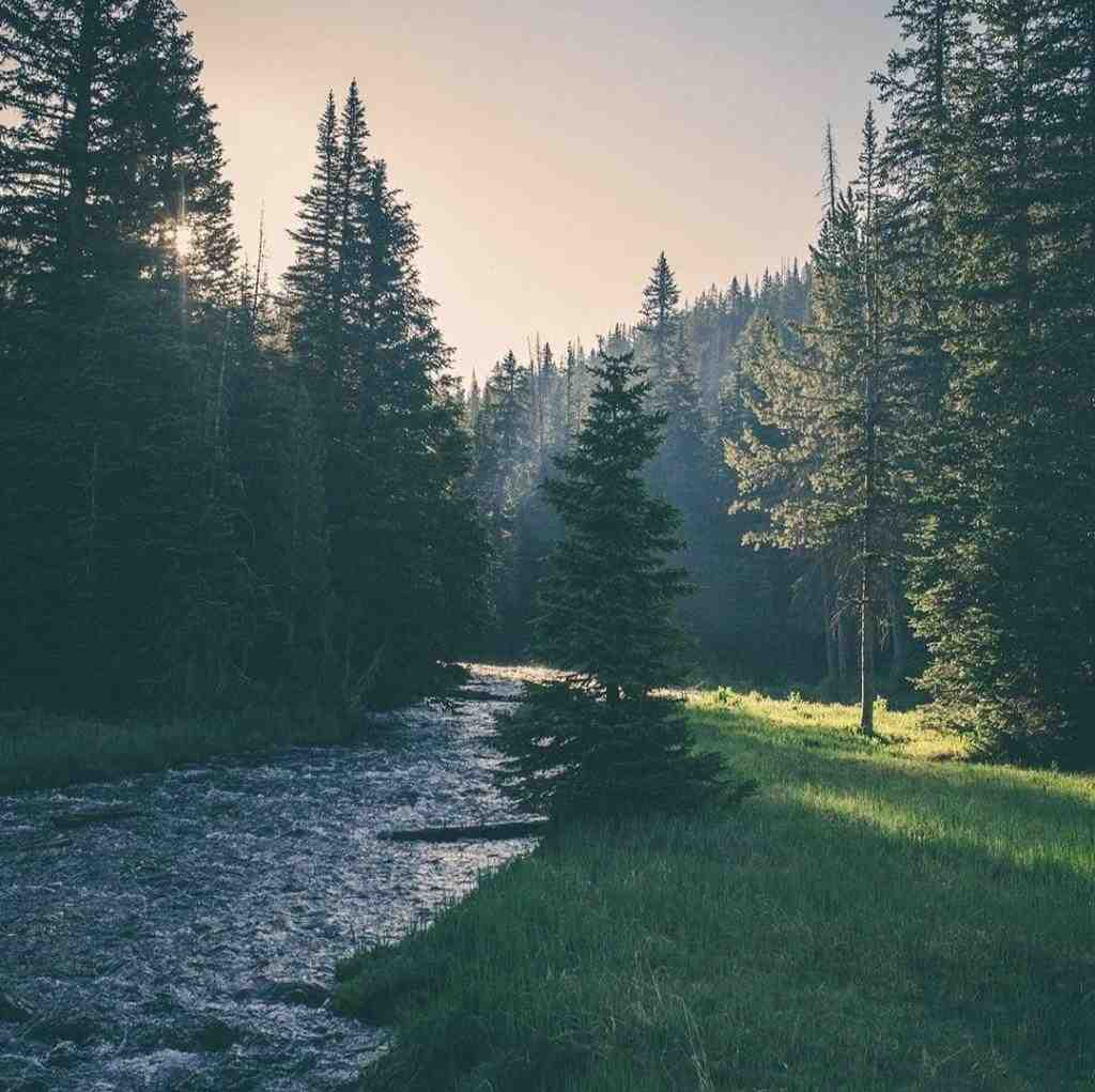 نداره عیب دارم برات آره دارم برات