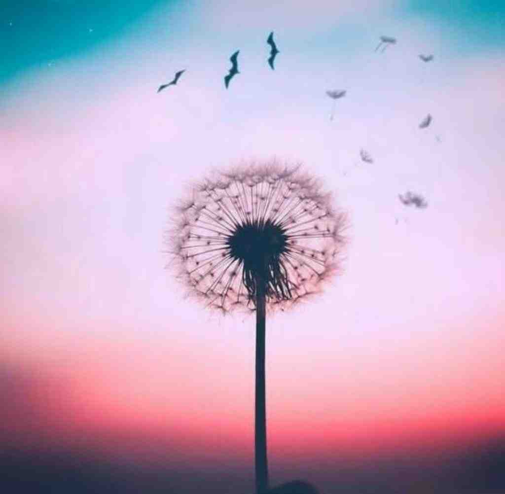  به سمت پنجره پیدا کن هوای حبس هوش مصنوعی
