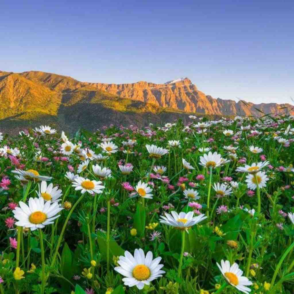  بابا لنگتم دلتنگتم میای بریم میزنیم دریا