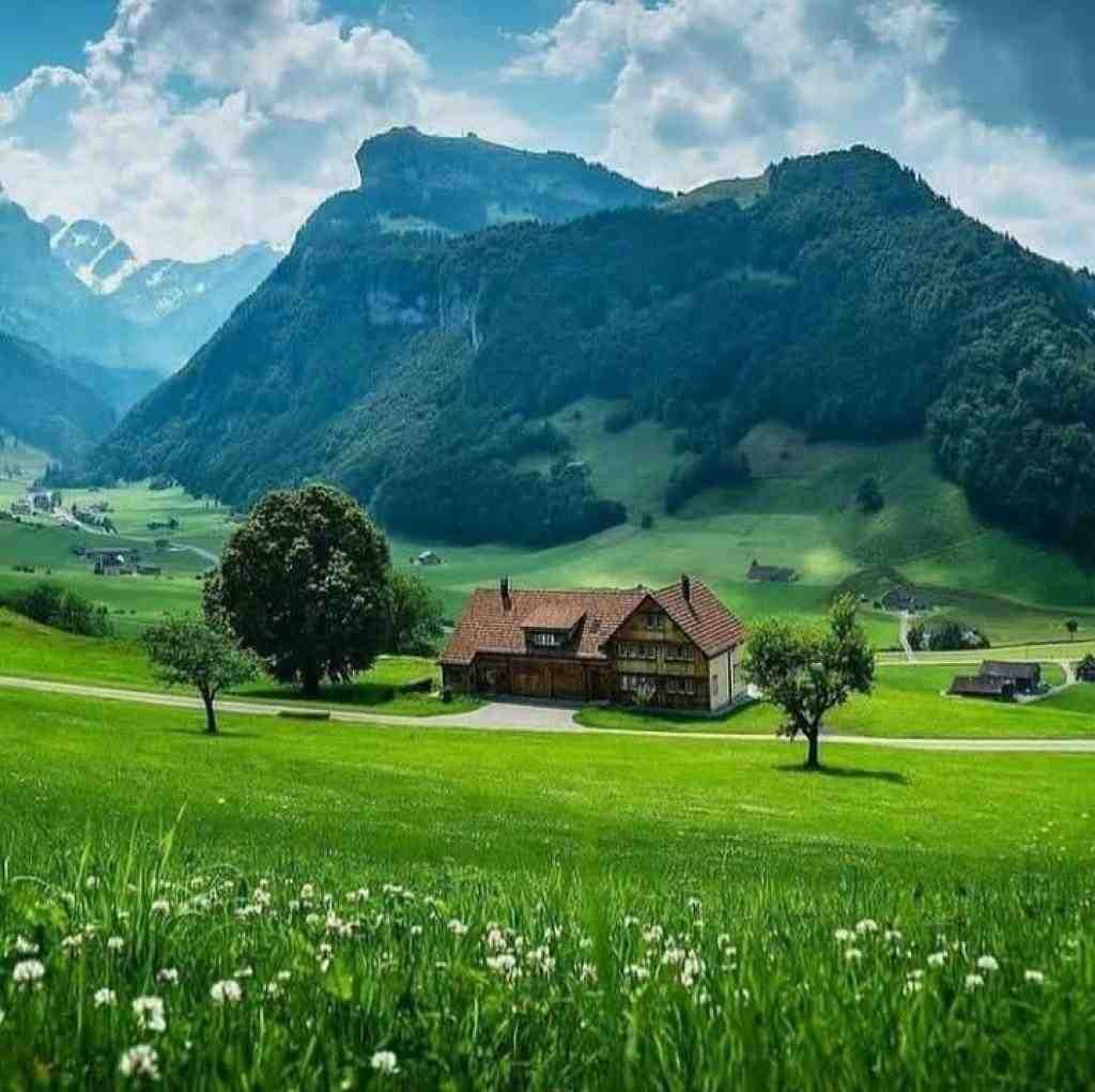  ای شاخه ی پر گل قشنگم اینستایی