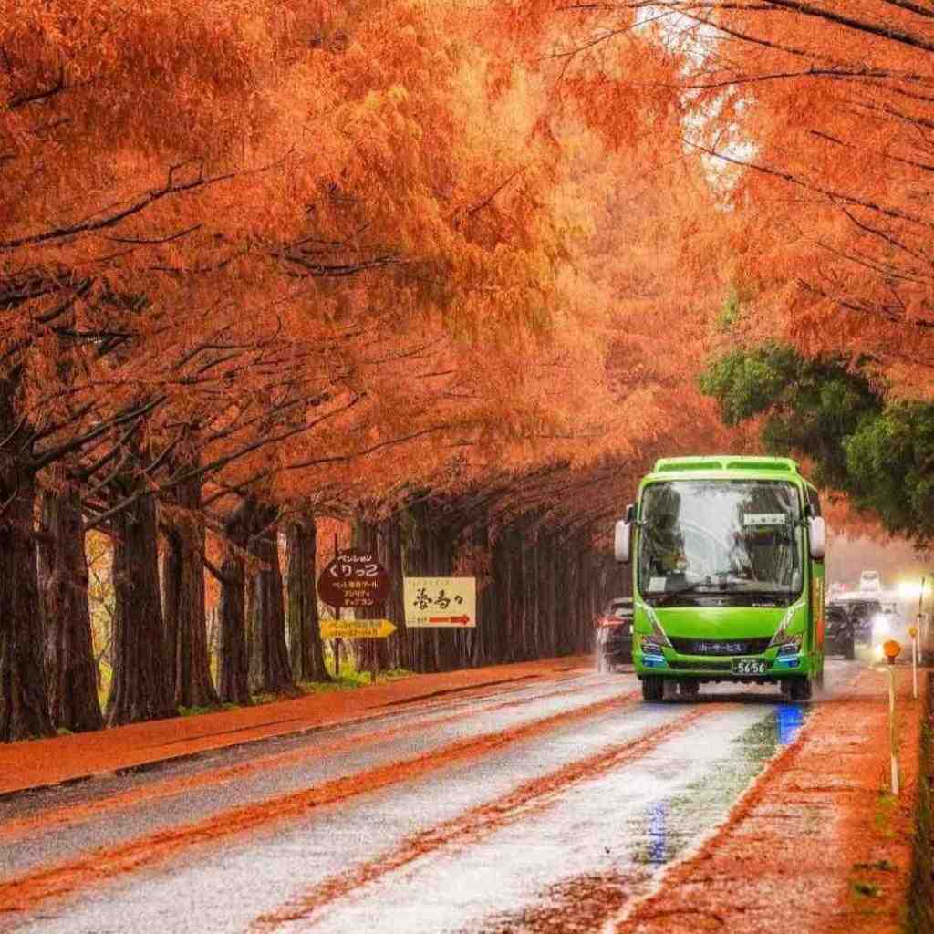  نات کوینو نیستم همسترو آره