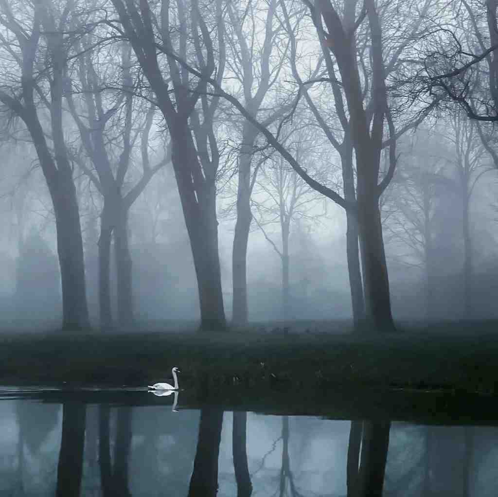  ای ساربان کجا میروی لیلای من چرا میبری با صدای زن