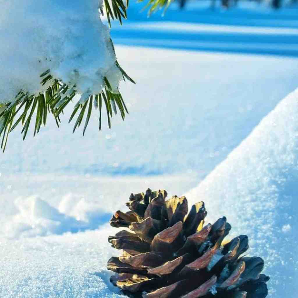  دلم گرفته دوباره هوای تورو داره با صدای دختر اینستایی
