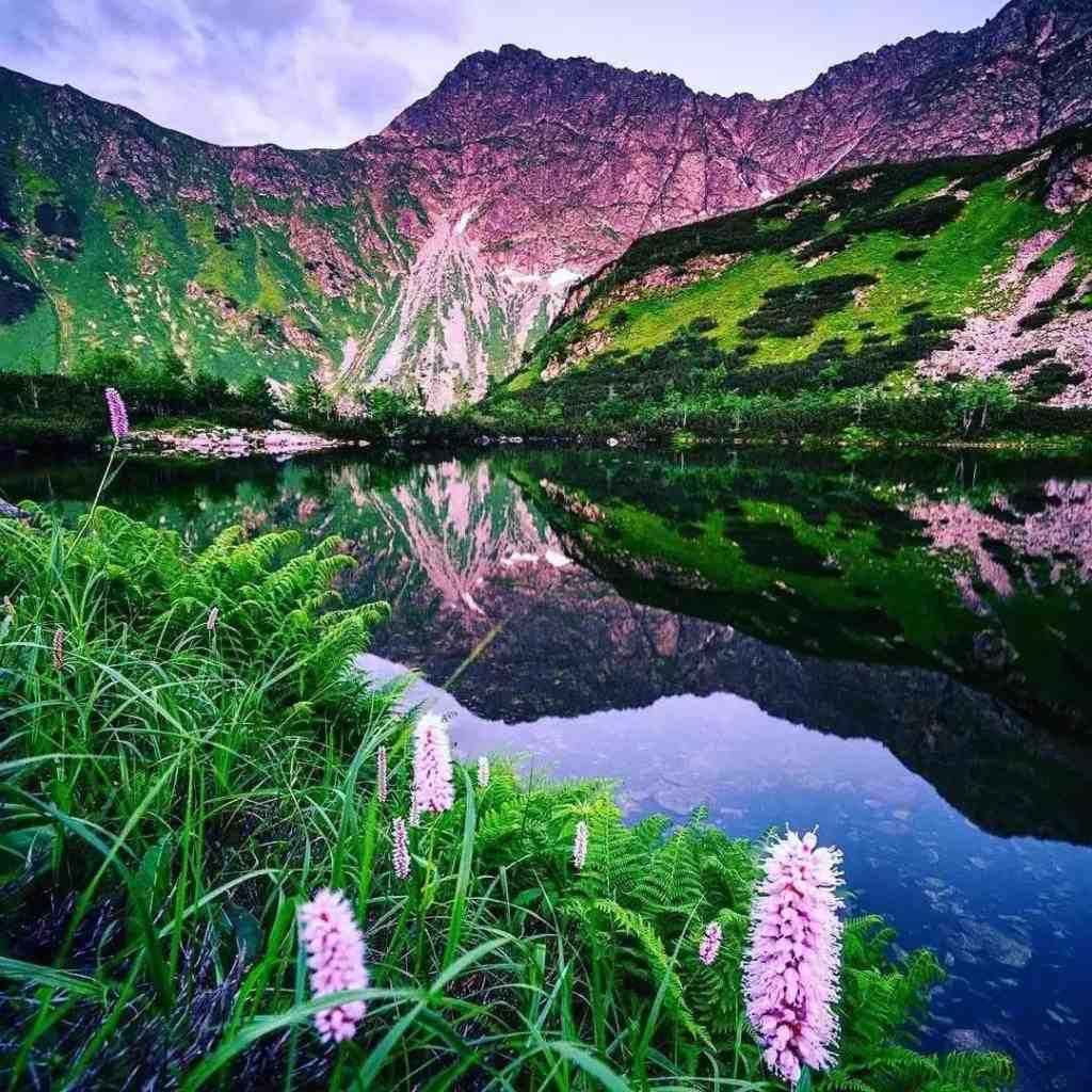  تو شهر آرزوهام دیدم یکی شبیهت با صدای دختر