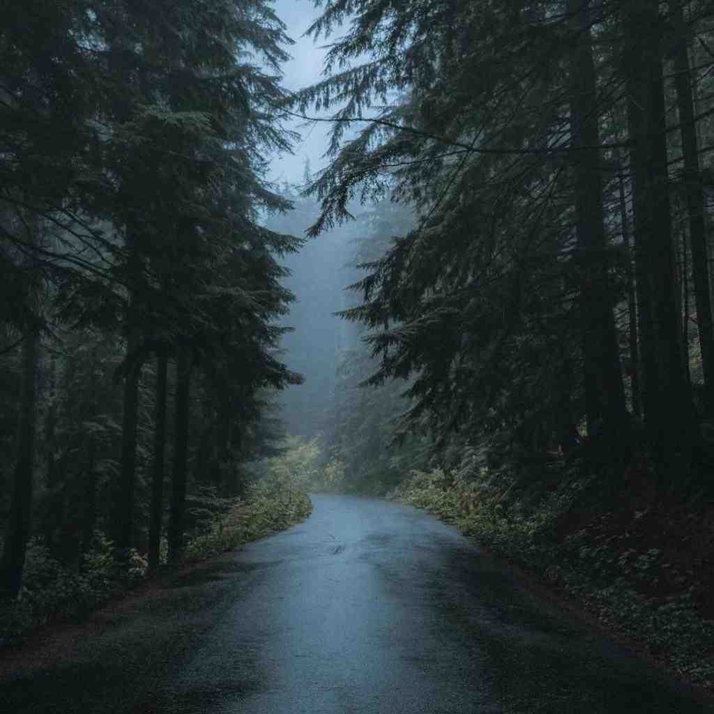  فرشته ای تو نبودی انسان خودتو بم بسپار