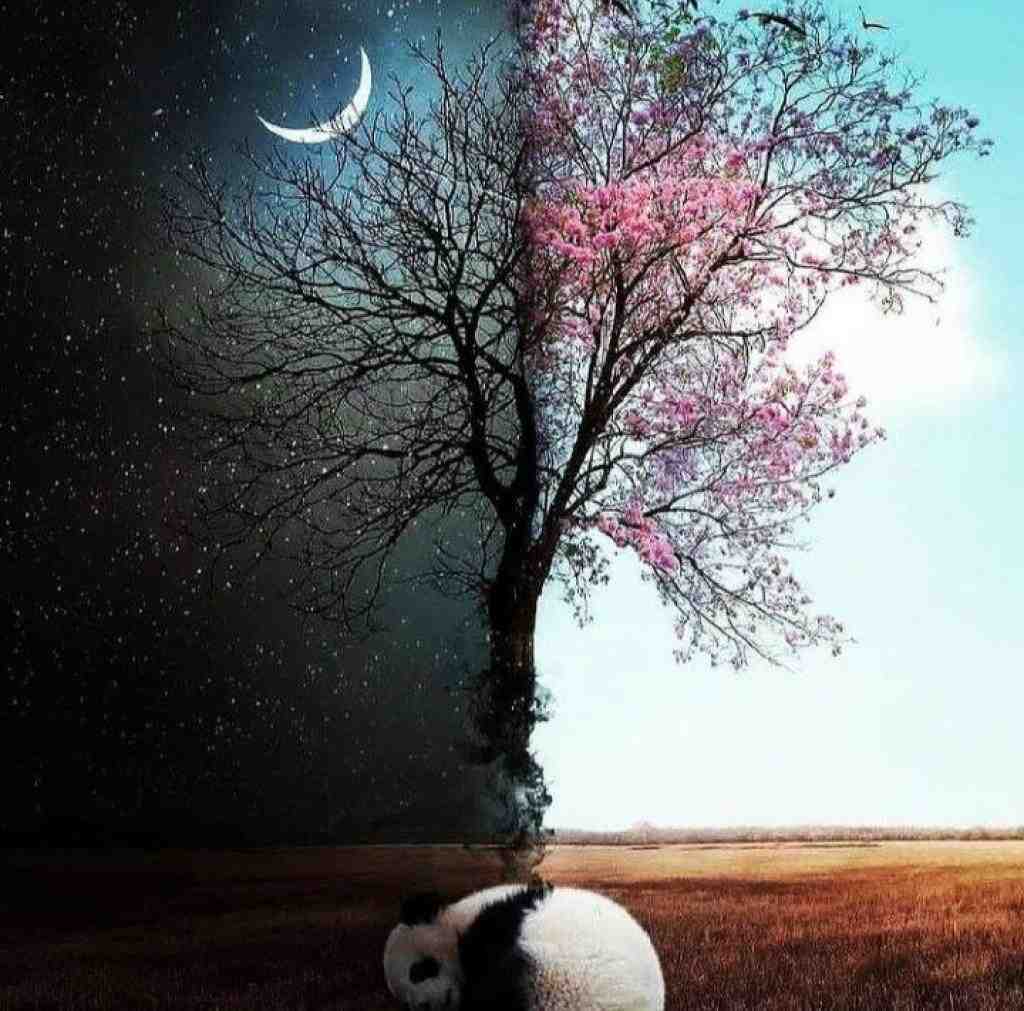  الان داغی نمیفهمی چی سرت اومده با صدای دختر