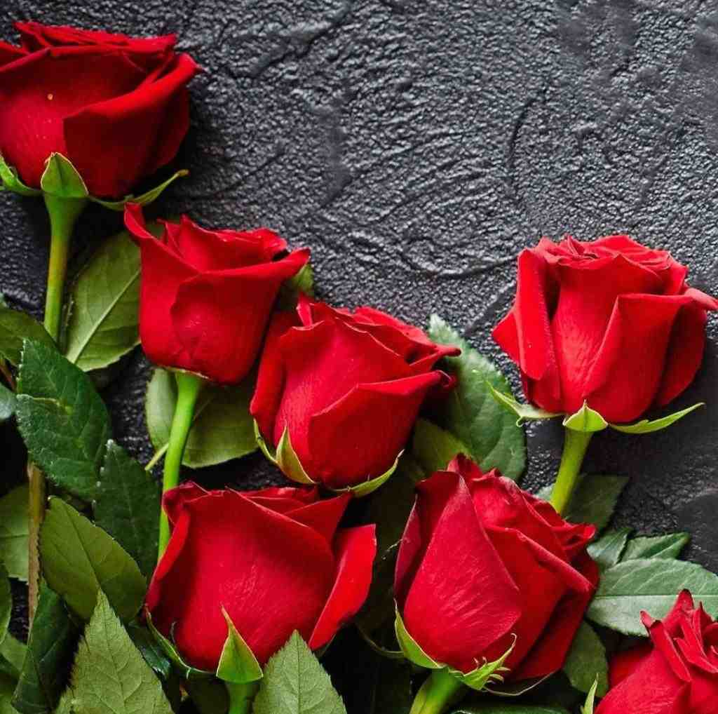  شادوماد به عروس میگه چی آخی موبایلت منو کشته