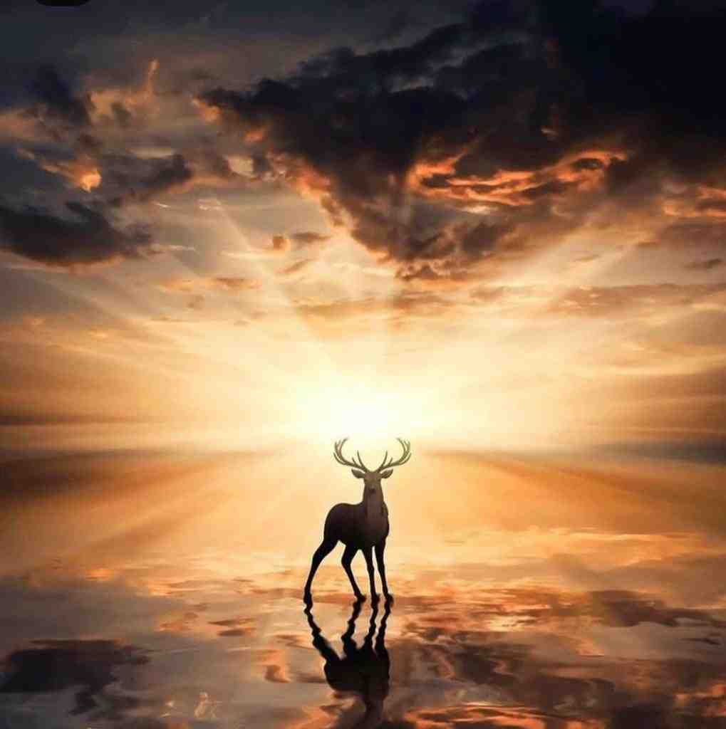  تا گم کردمت روی مبل نه صبح با صدای دختر