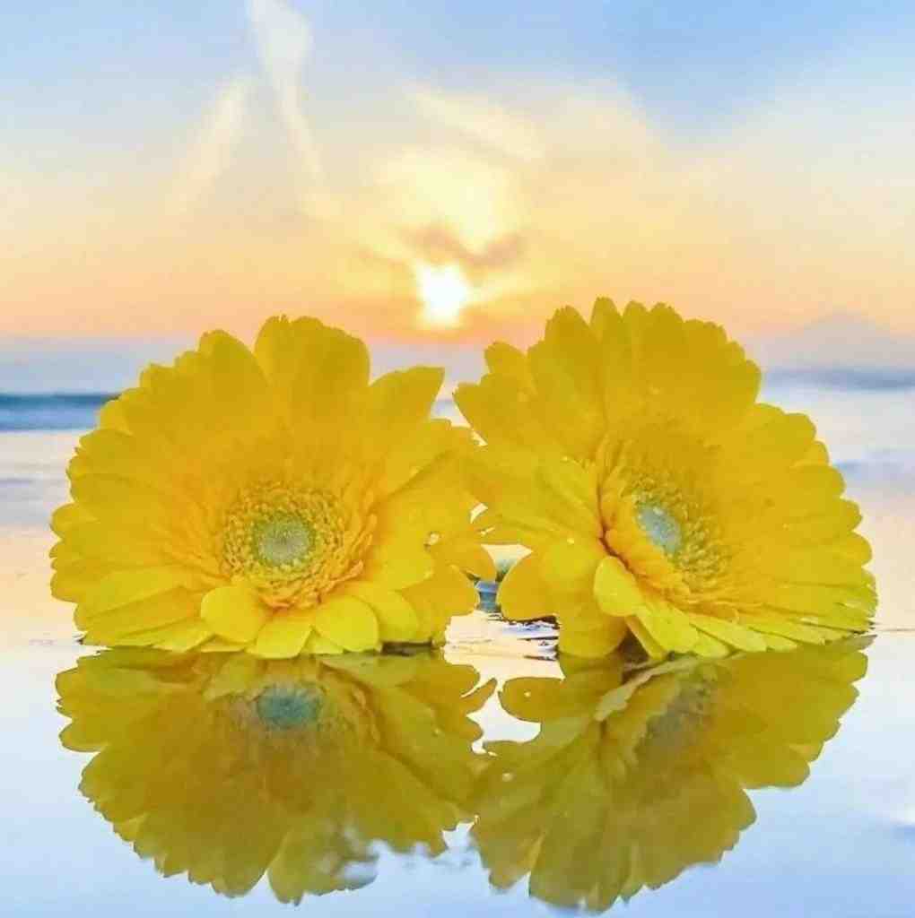  ترکی ننه ننه ننه ننه اینستایی