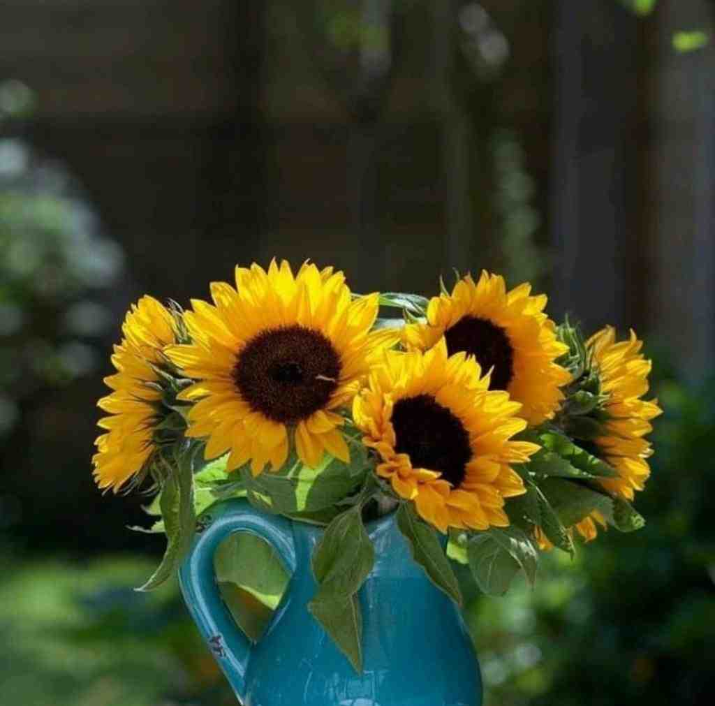  زنگ بزن آمبولانس اینم از شانس ماست با صدای زن