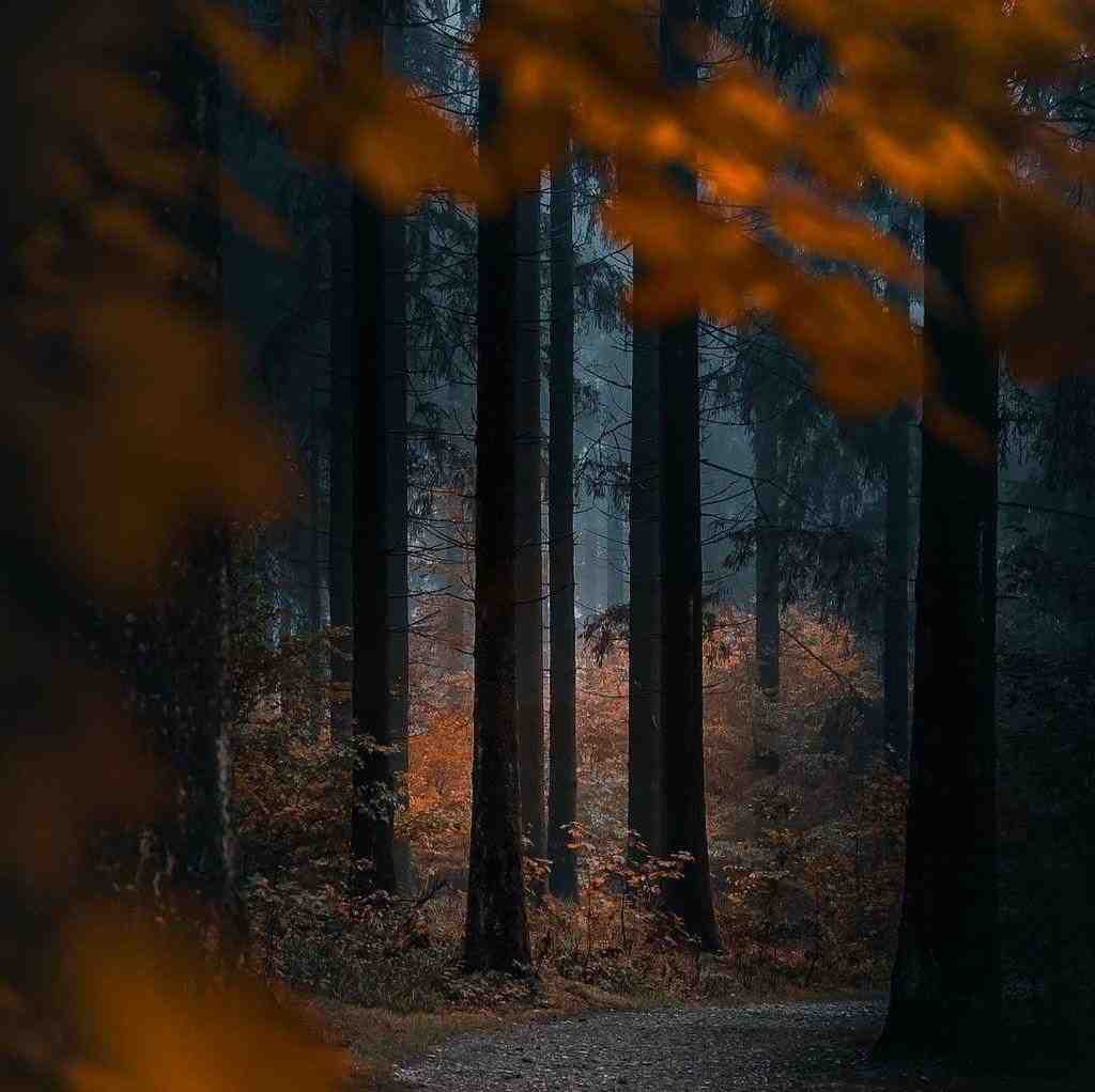  لری خدا مه زوره ای جونه نخاسم