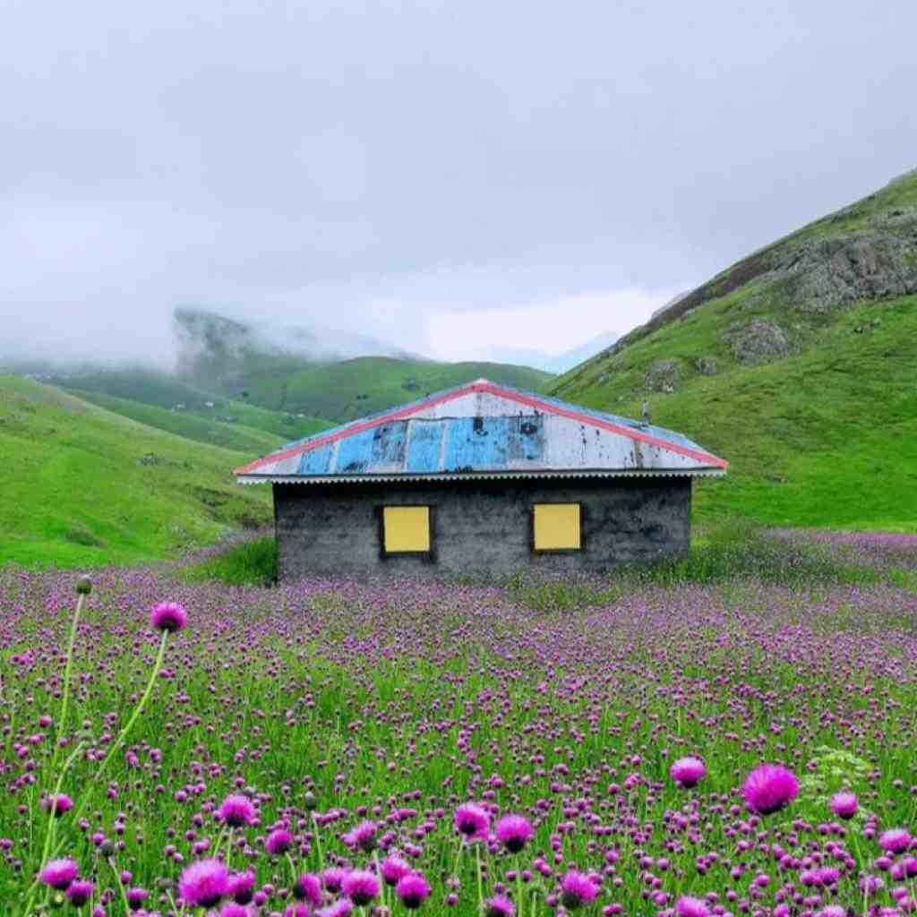  انگار قدمام به این خیابونا وقتی که تو نیستی با صدای پسر