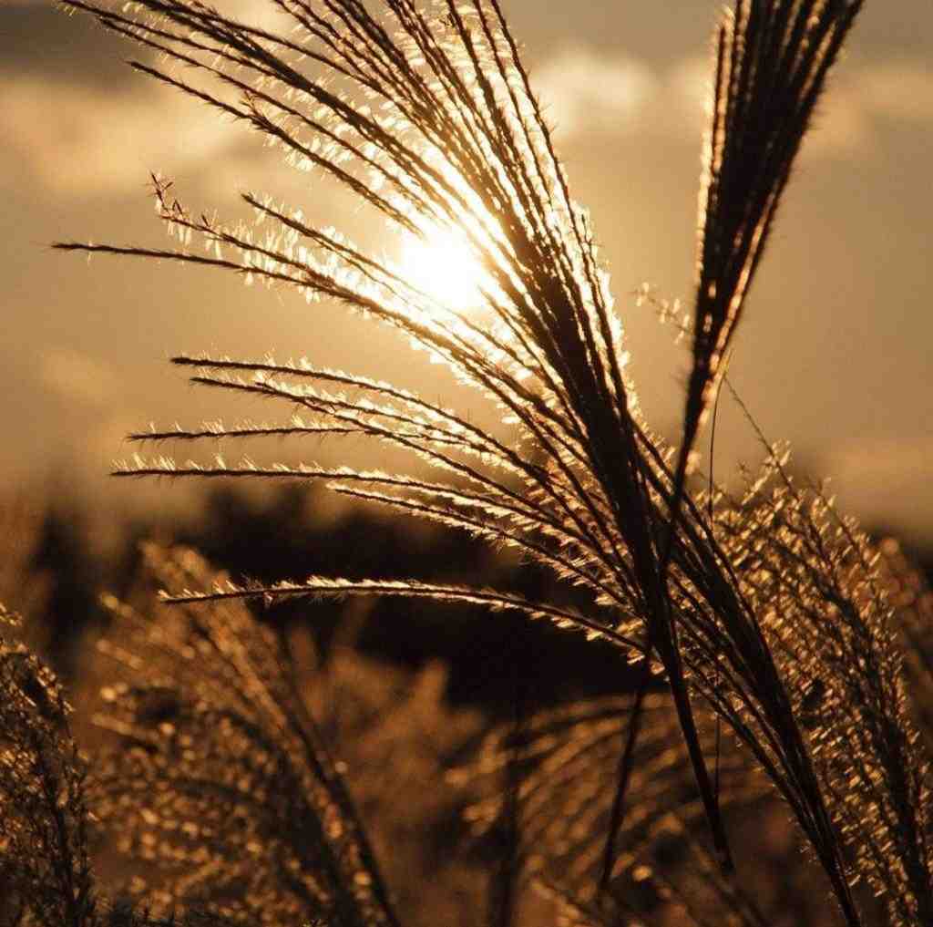  زیرو رو کردیم با هم تموم شهرو کی میتونه با صدای پسر