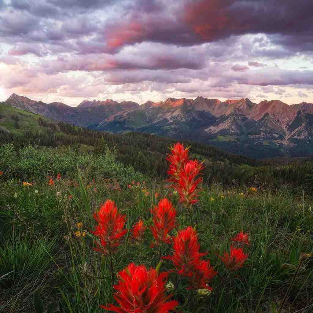  یه جایی توی قلبت هست که روزی با صدای زن