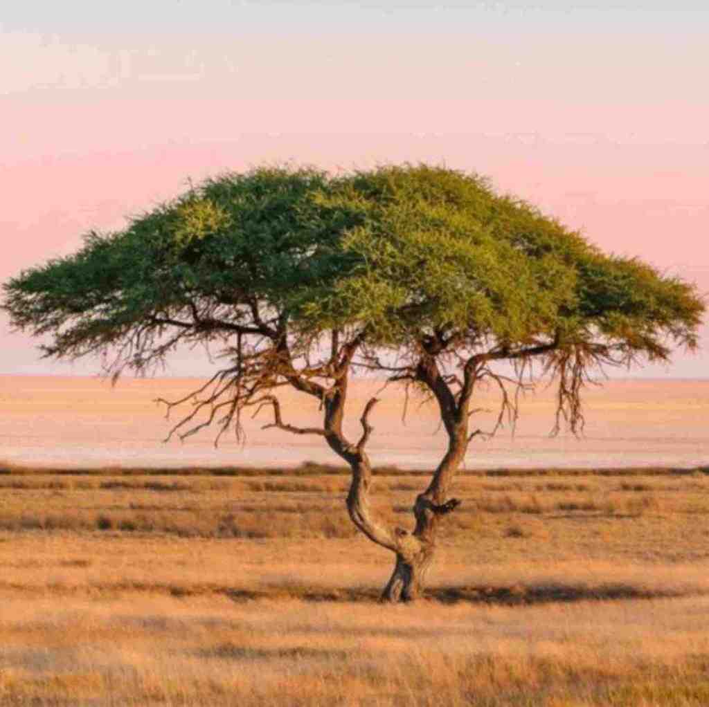  ببینیم گل میندازی لپو میکنی کپو میام با بعدی