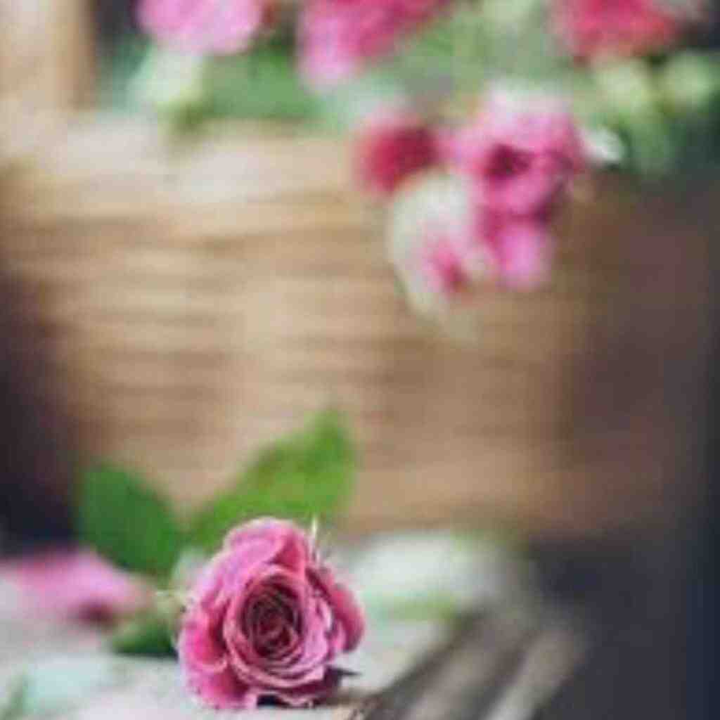  بده حال خیابونا غمگینه مثل سوز گیتار