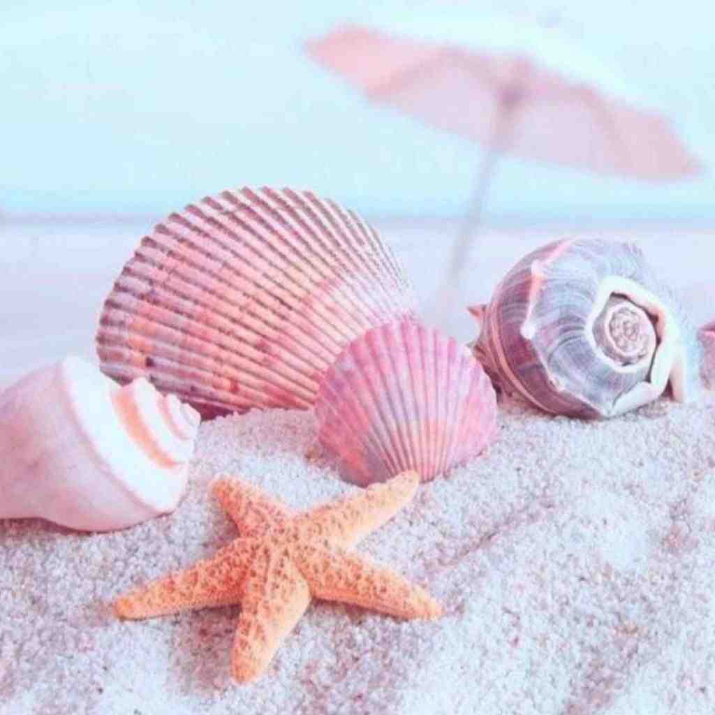  تو ای آمده از راه بازم مثل همیشه با صدای زن