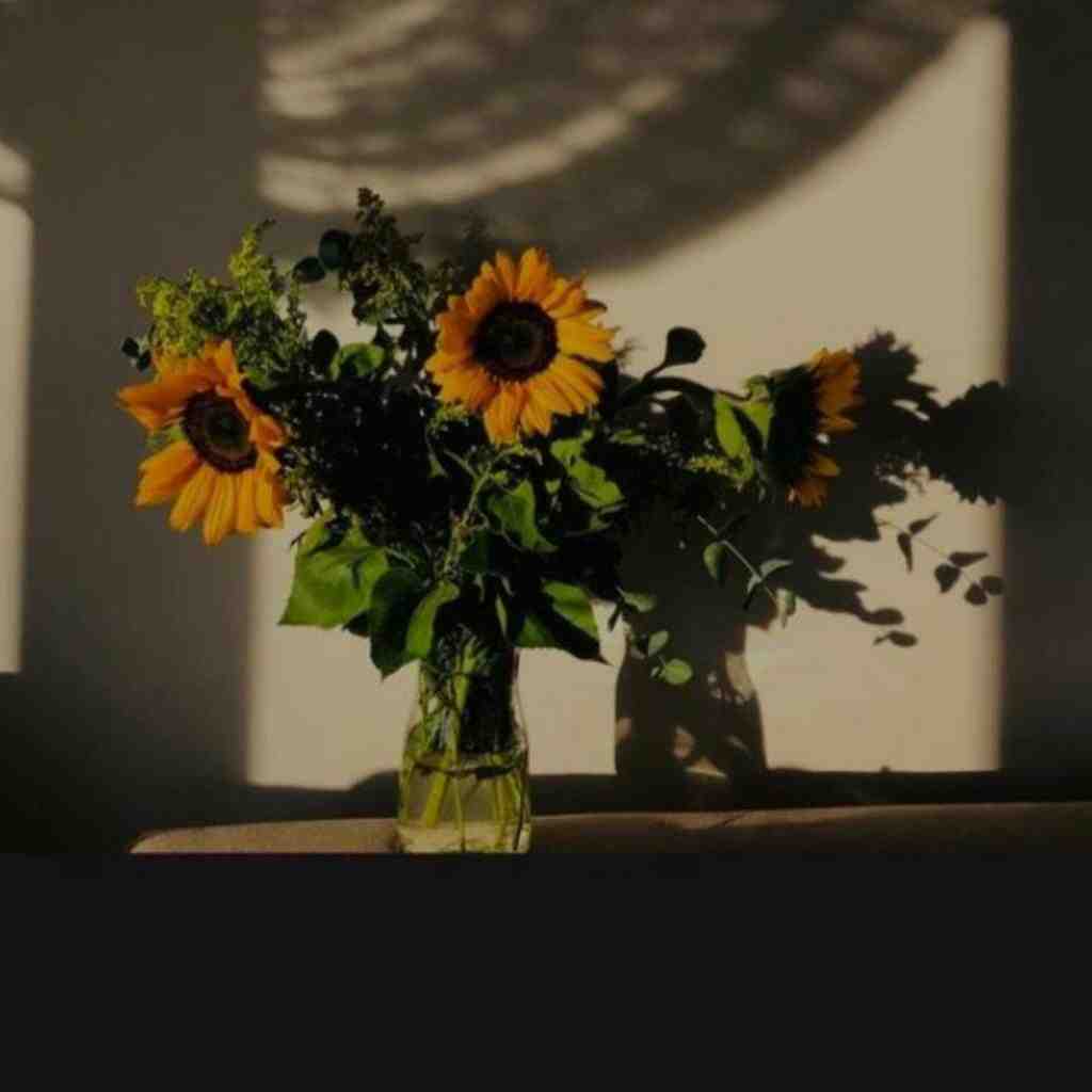  چرا غم ریشه جونم گرفته چرا محنت گریبونم گرفته خداوندا