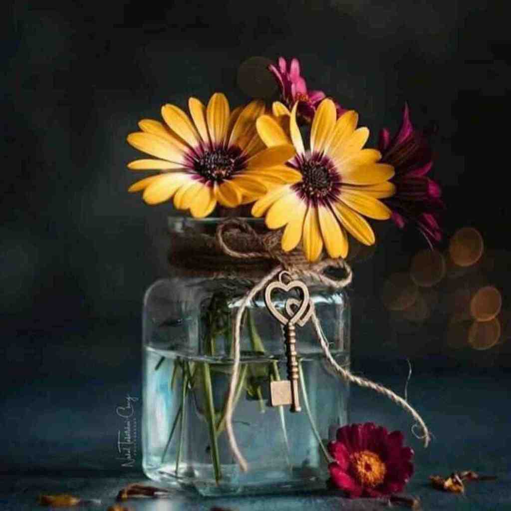  چه خوب شد خوشمون شد دوماد مال خودمون بود