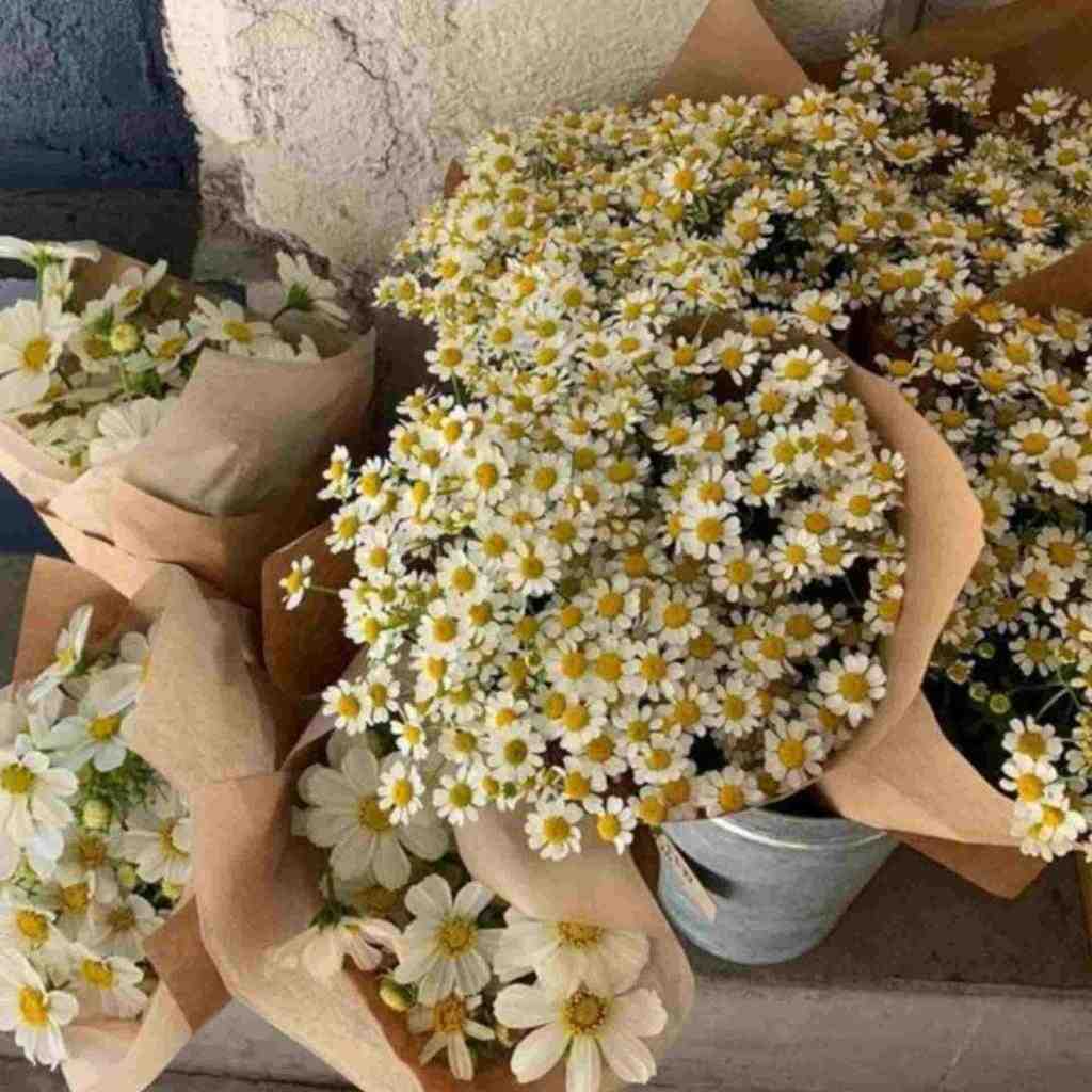  لبامو بخوای بچشی نازمو باید بکشی اینستایی