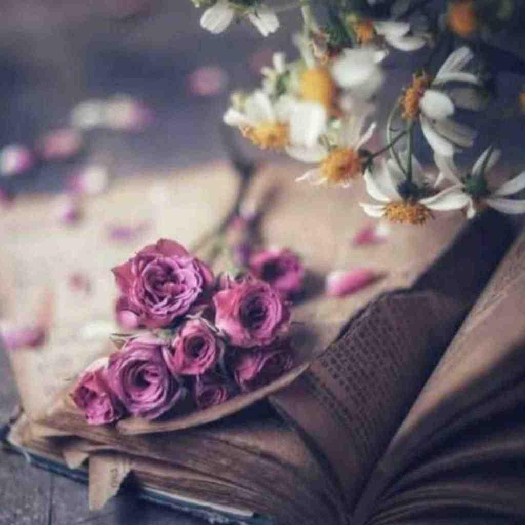  تو برعکس از قصد سردی حتی وقتی بام میرقصی دم صبح
